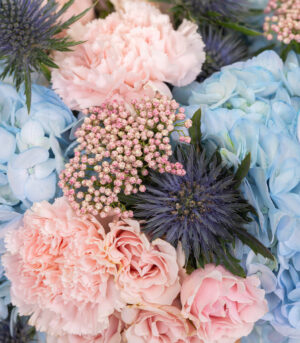 Blue and Pink Blossom - imagine 3