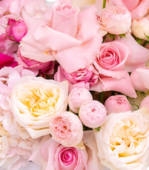 Soft Feelings - imagine 2