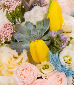 Sunny Venus - imagine 3