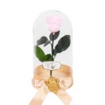 Trandafir Criogenat Roz în Cupolă de Sticlă