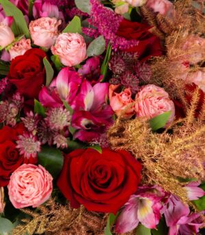 Trandafiri Casanova - imagine 3