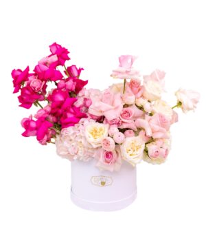 Soft Feelings - imagine 3