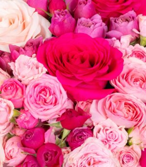 Trandafiri Roz în Cutie - imagine 3