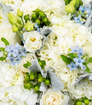 Blue Sky - imagine 2