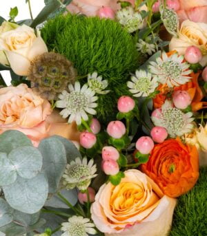 Monaco Elegance - imagine 3