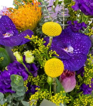 Cairo Essence - imagine 3